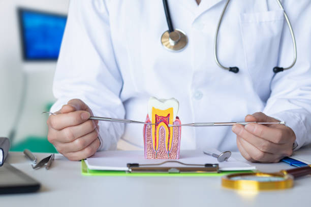Best Emergency Broken Tooth Repair in Myrtletown, CA